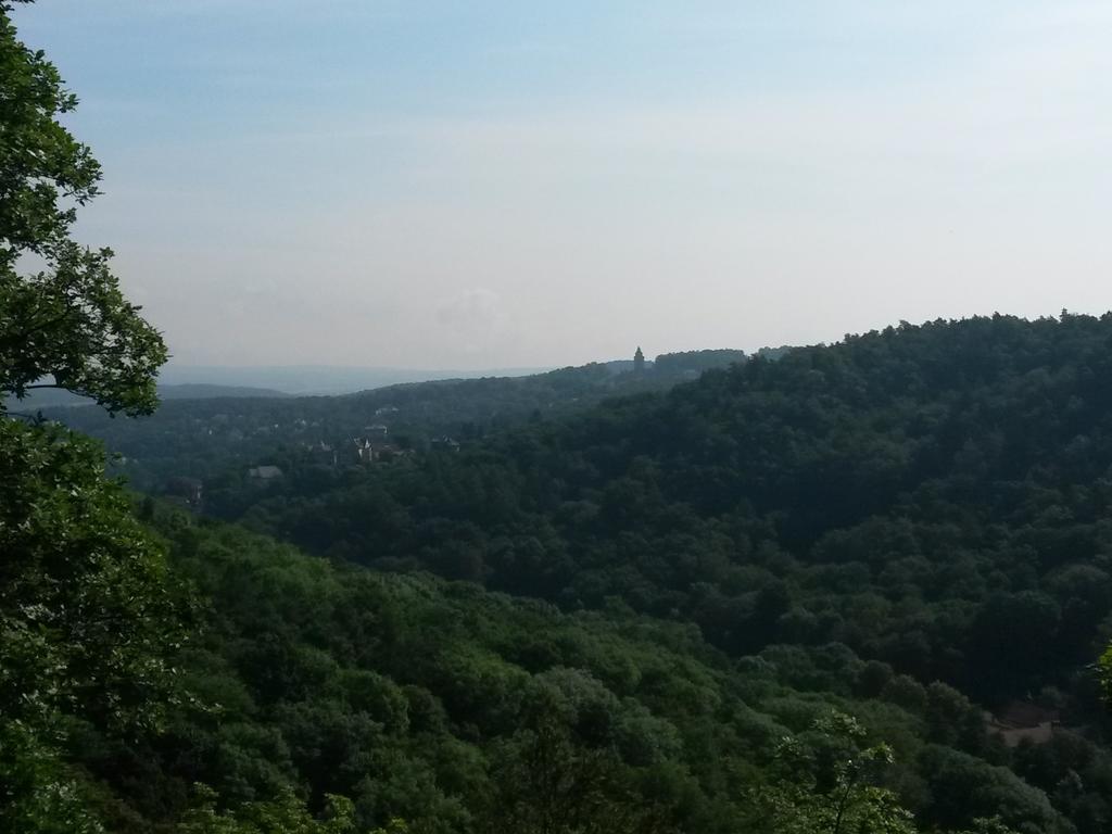 אייזנבאך Villa Weitblick מראה חיצוני תמונה